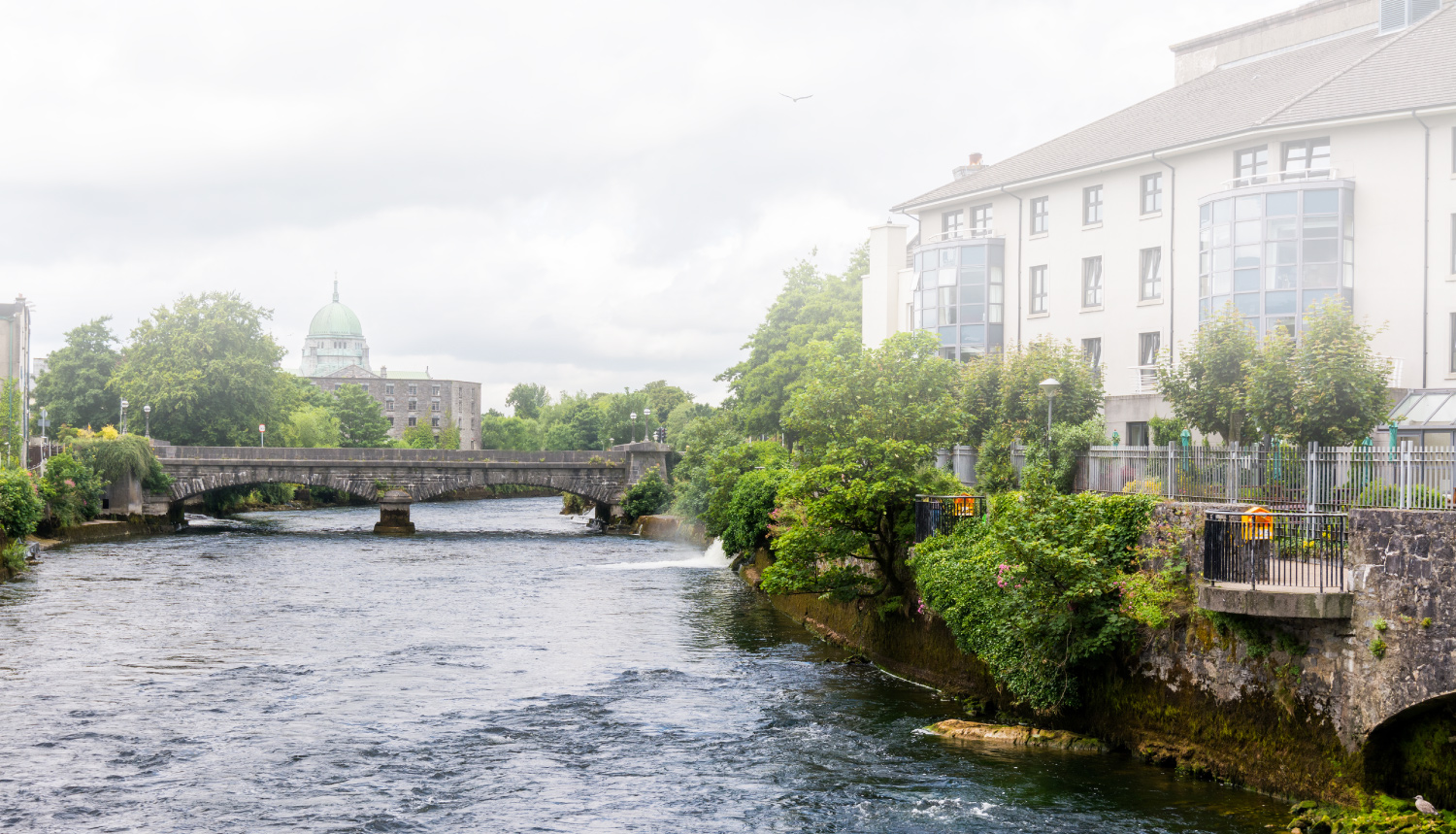 Banner-Ireland